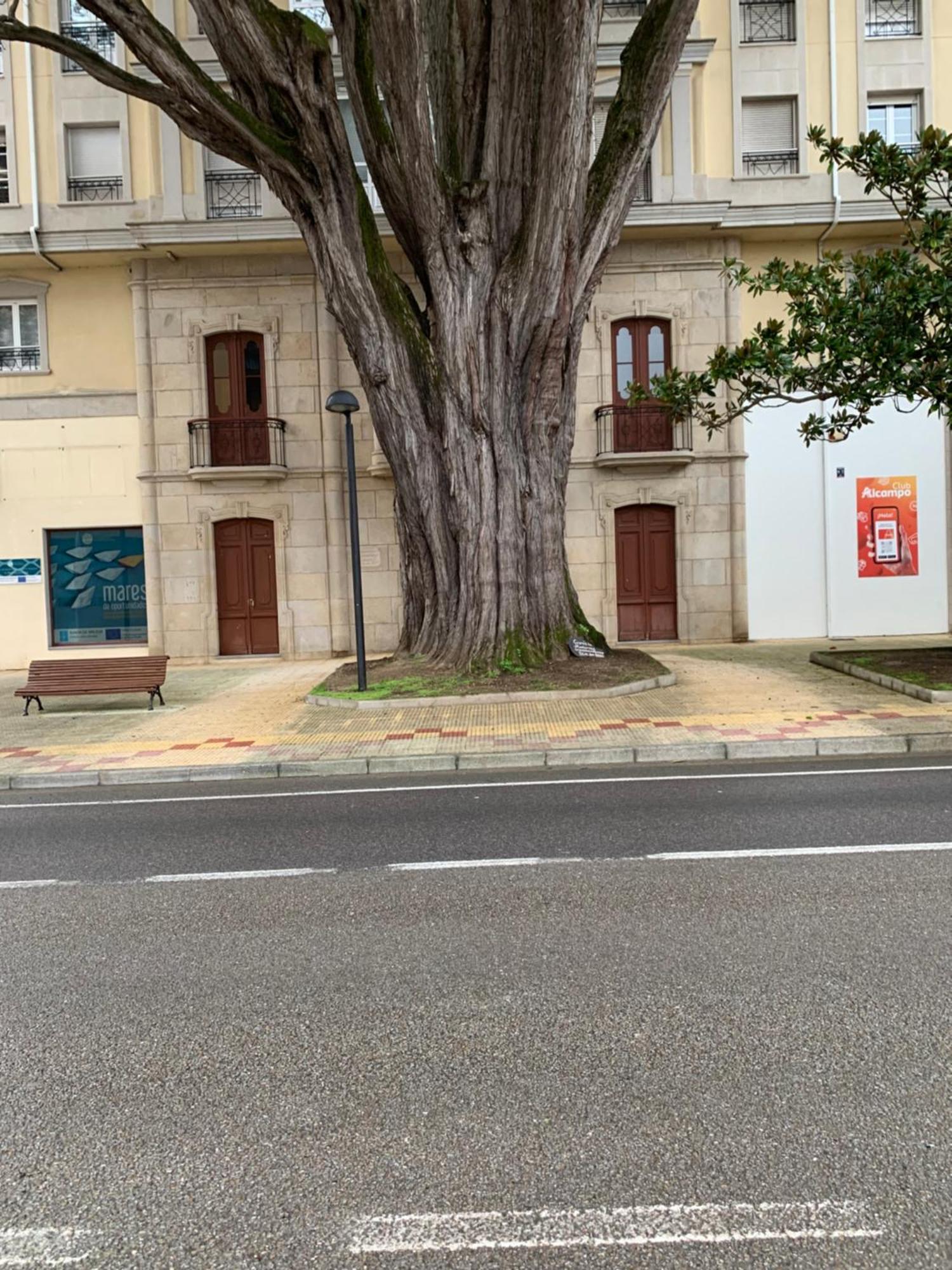 Apartmán Mansion Del Indiano Viveiro Exteriér fotografie